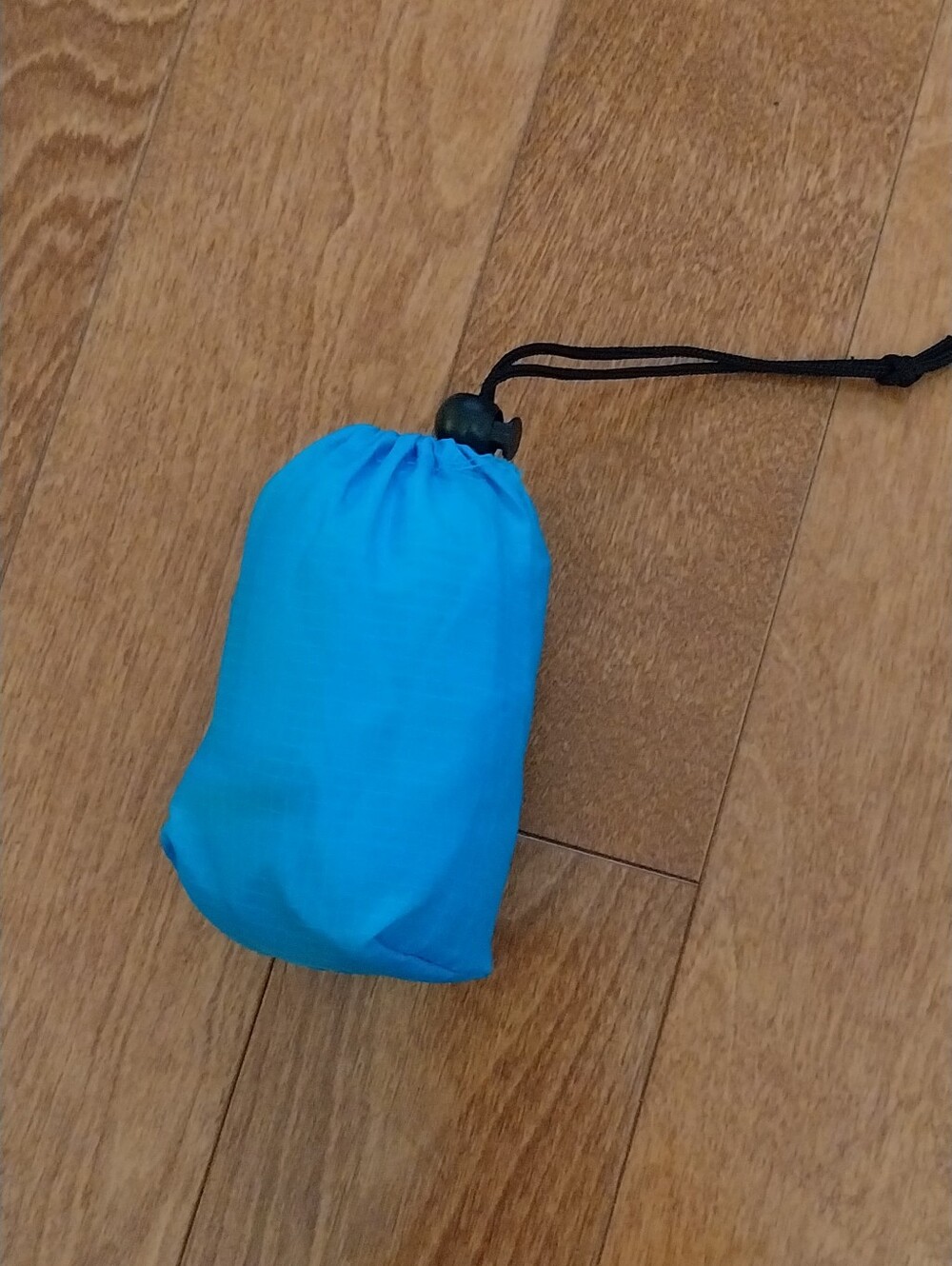 ๐ฆ๐ฑ Mini Packable Backpack - Picture 2 of 6